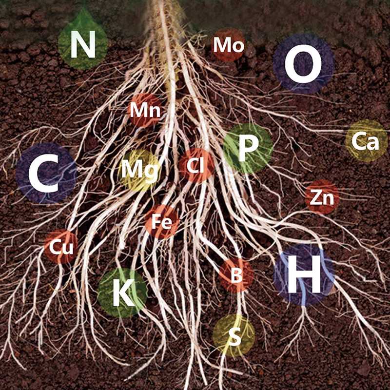 40% OFF🔥Fast-Acting Nutrient Solution for Plants