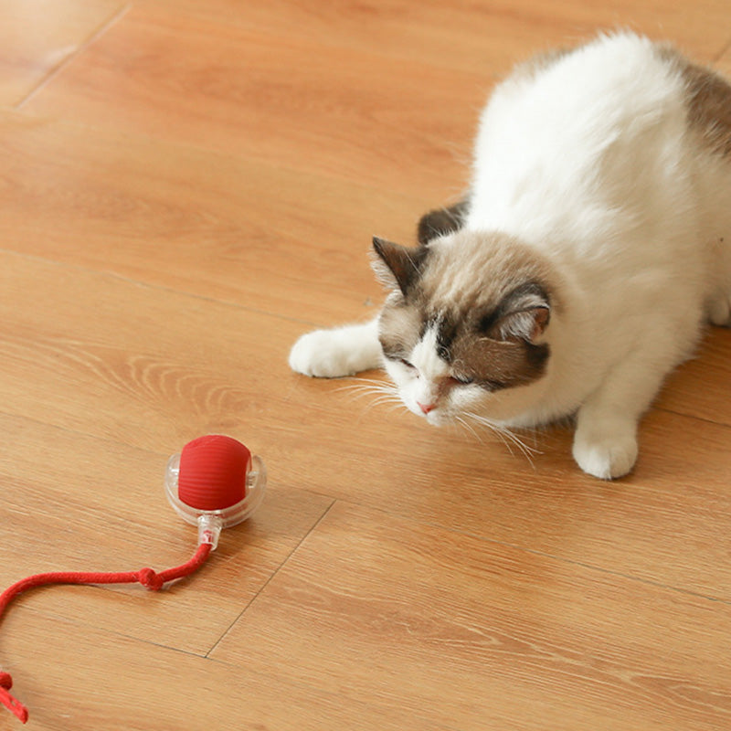 🐱🐶Smart Automatic Rolling Pet Ball